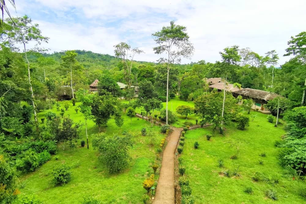 suchipakari lodge suchipakari lodge