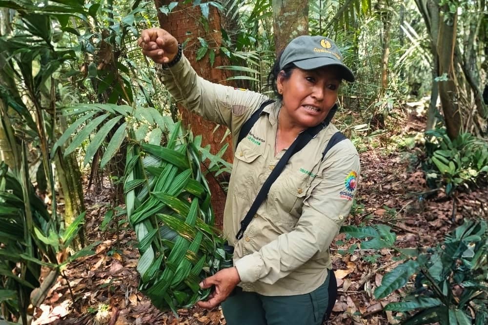 tamara tangoy tamara tangoy