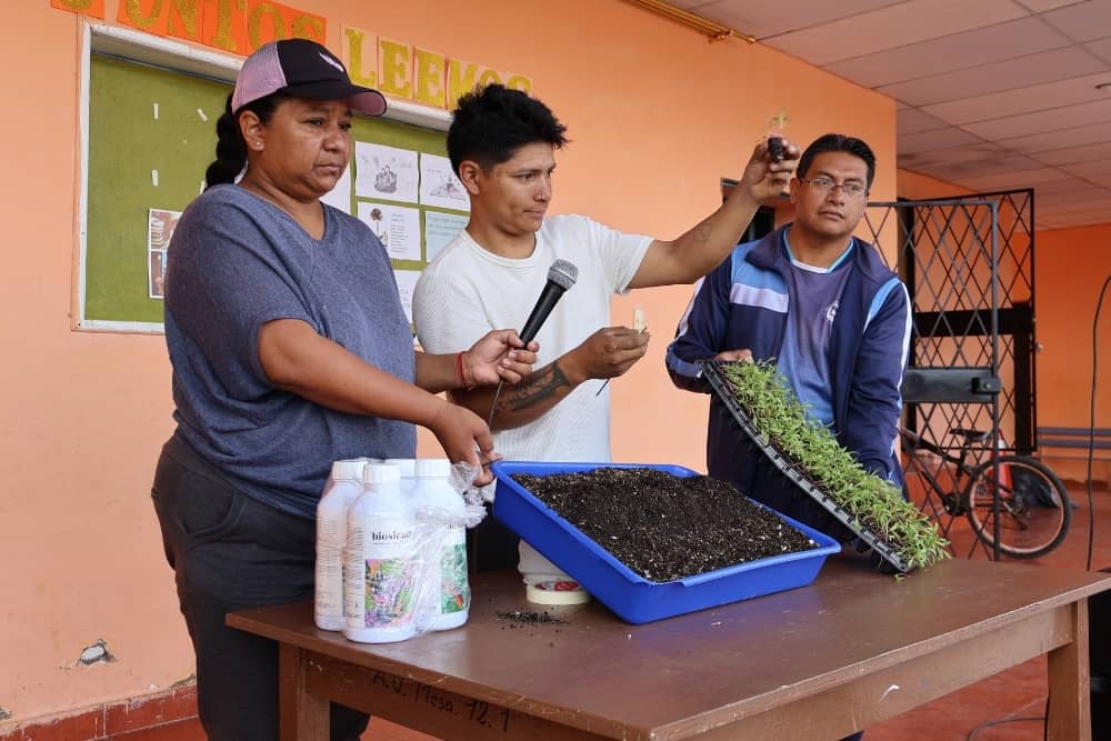 teaching kids to cultivate plants teaching kids to cultivate plants