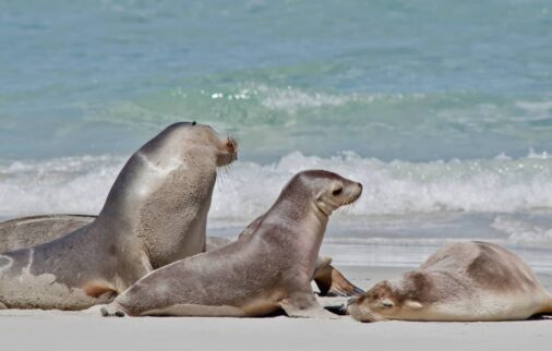 things to do in galapagos