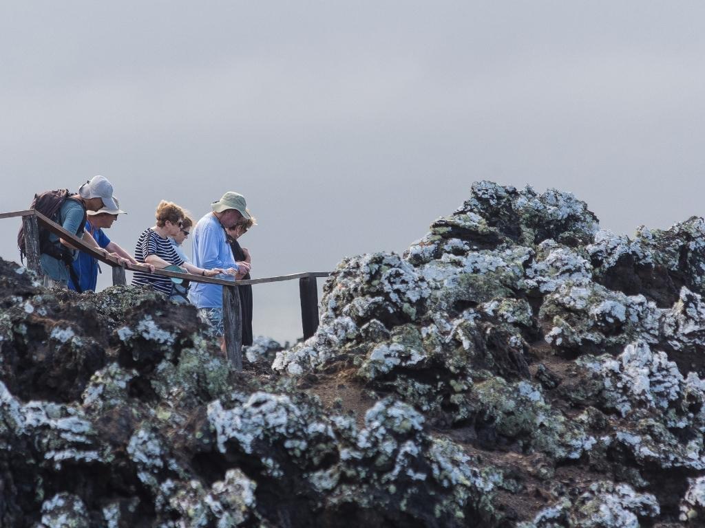 tintoreras tintoreras