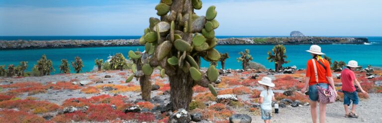 toddler tour family friendly tour with kids