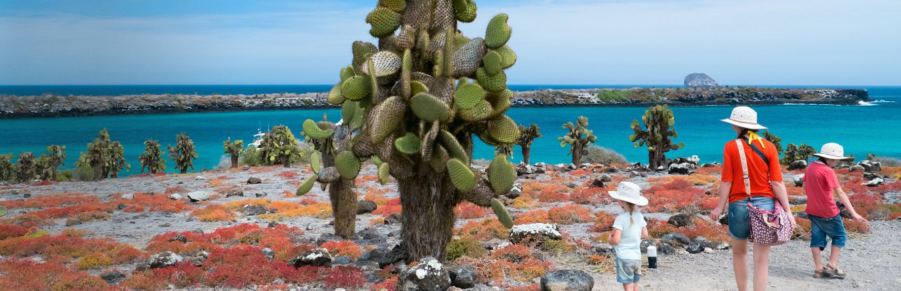 Family Friendly Tour with Kids