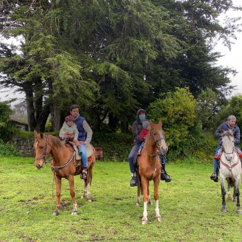 top 5 2day horseback riding top 5 - 2day horseback riding
