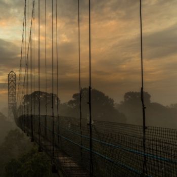 top 5 4 day amazon yasuni top 5 - 4 day amazon yasuni - amazon tours