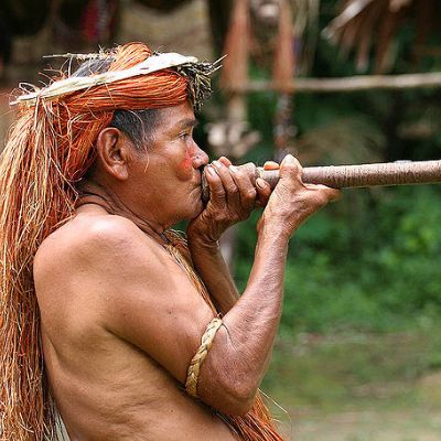 top 5 5 day peru amazon tambopata top 5 - 5 day peru amazon tambopata