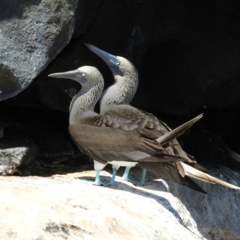 top 5 budget 4 day san cristobal 4 day san cristobal expedition