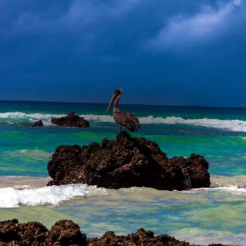 top 5 budget 6 day galapagos budget 6 day galapagos budget