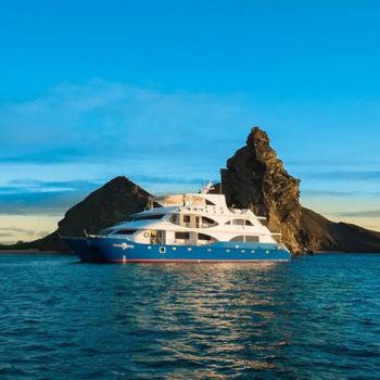 top 5 ocean spray top 5 ocean spray