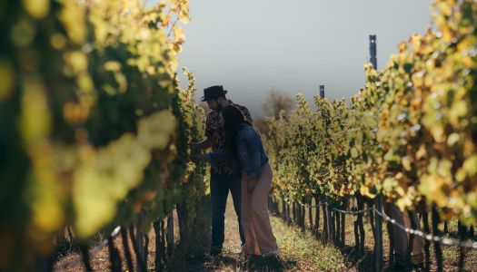 top5 10 days chile cultural top5-10-days-chile-cultural