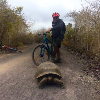 top5 biking - 8 Day Galapagos Multisport Rebecca Adventure Travel top5 biking - 8 Day Galapagos Multisport