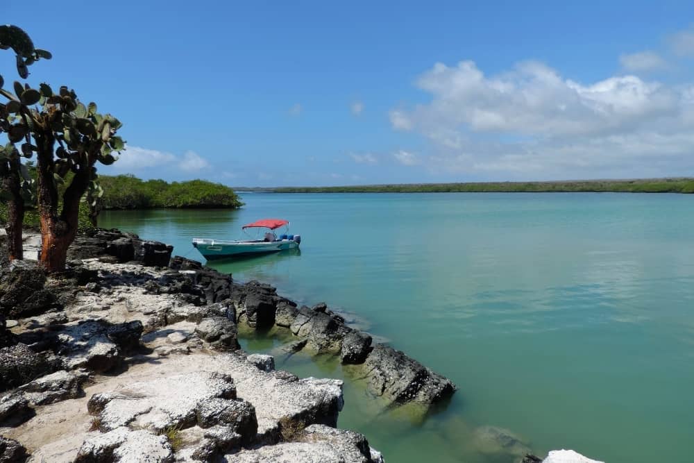 tortuga bay galapagos 1 tortuga bay relaxing beaches