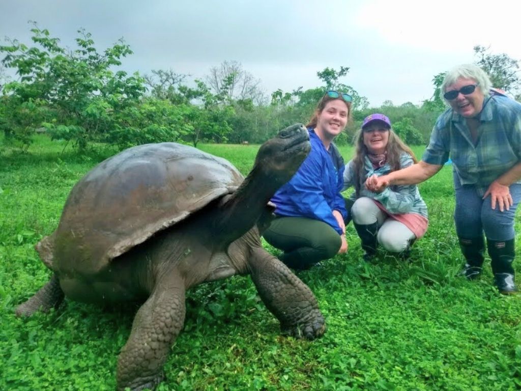travel with kids galapagos travel with kids galapagos