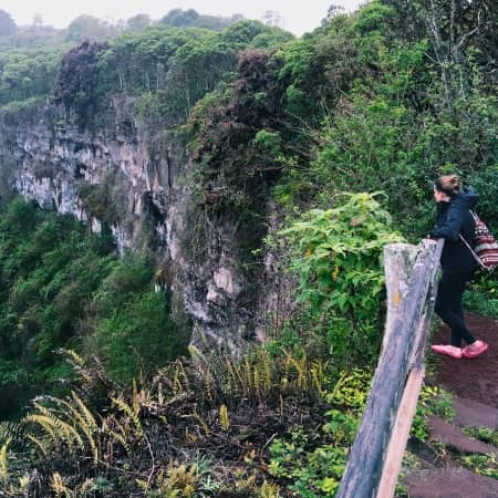 Twin-craters-Santa-Cruz-Galapagos Rebecca Adventure Travel Twin Craters -Santa Cruz Island