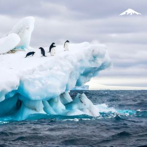 weddell sea weddell sea