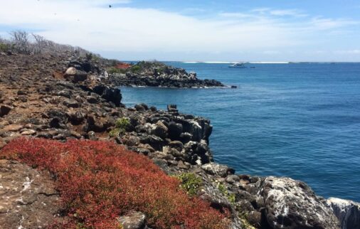 why is galapagos worth visiting