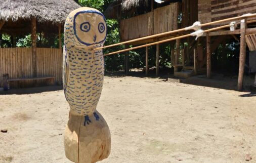 yasuni national park experience