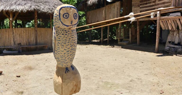 yasuni national park experience 1 yasuni national park experience