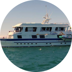 angelito yacht angelito yacht