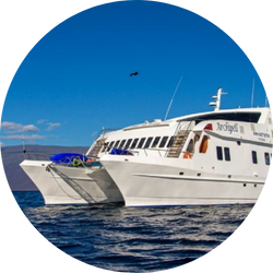 archipel i catamaran archipel i catamaran