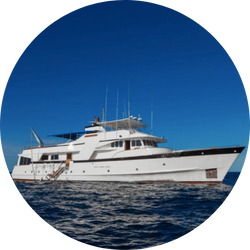 beluga yacht beluga yacht