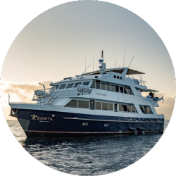 bonita bonita galapagos cruise