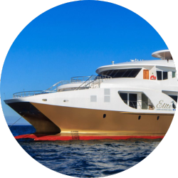 circle photos for new web 250x250 1 elite luxury galapagos cruise.