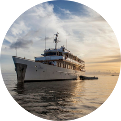 circle photos for new web 250x250 1 grace yacht