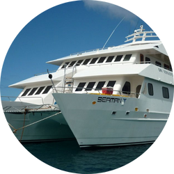 circle photos for new web 250x250 1 circle photos for new web 250x250 1