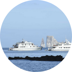 coral i ii yachts coral i & ii yachts