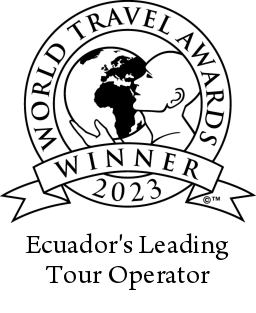 Travelers' Choice Badge