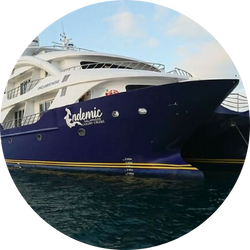 endemic catamaran endemic catamaran