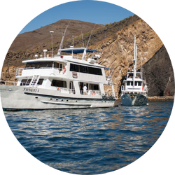 fragata yacht fragata yacht