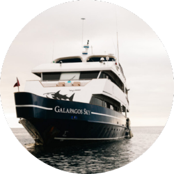 galapagos sky cruise galapagos sky cruise