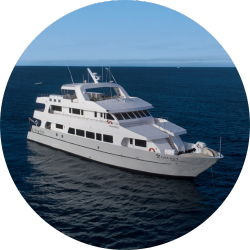 galaxy 1 galaxy yacht