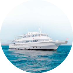 galaxy diver circle galaxy-diver-circle