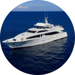 grand majestic grand majestic