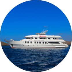 grand queen beatriz origin gps cruise grand queen beatriz origin gps cruise