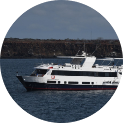 humboldt humboldt explorer