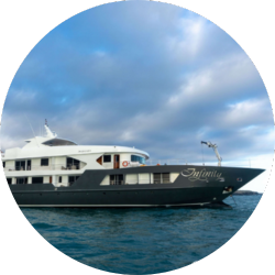 infinity infinity yacht