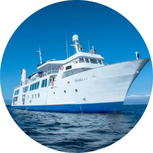 isabella 2 circle isabela ii yacht