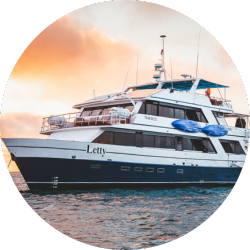 letty yacht letty yacht