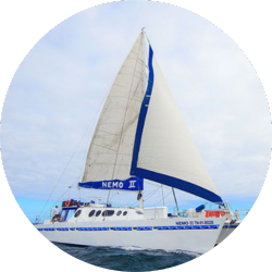 nemo ii nemo ii galapagos cruise