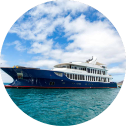 origin gps cruise origin gps cruise