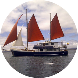 samba yacht samba yacht