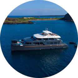 sirius circle galaxy sirius luxury galapagos cruise