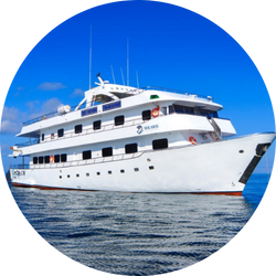 solaris yacht 2 first class boats