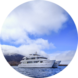 treasure of galapagos catamaran treasure of galapagos catamaran