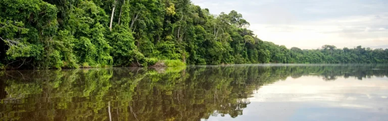 5 day tambopata amazon peru 5 day tambopata amazon peru