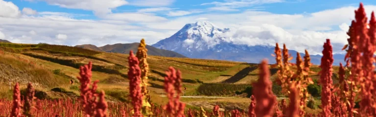 6 day hiking andes 6 day hiking ecuadorian andes